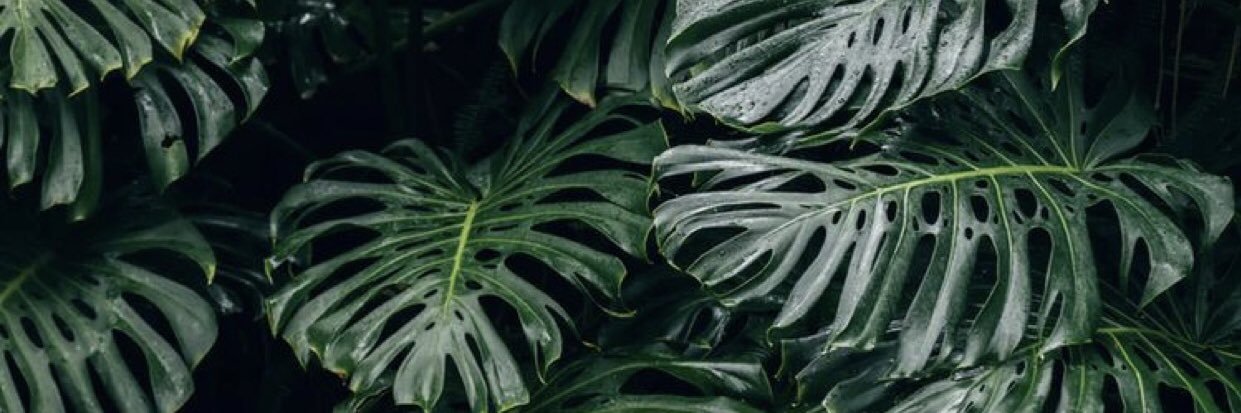 🦋✨Kelly Sullivan✨🦋 banner