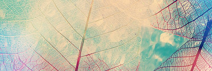 marcus_firelli's profile banner image