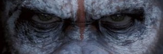 Terk__31's profile banner image