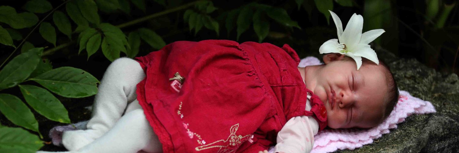 Danielle Tredgett banner