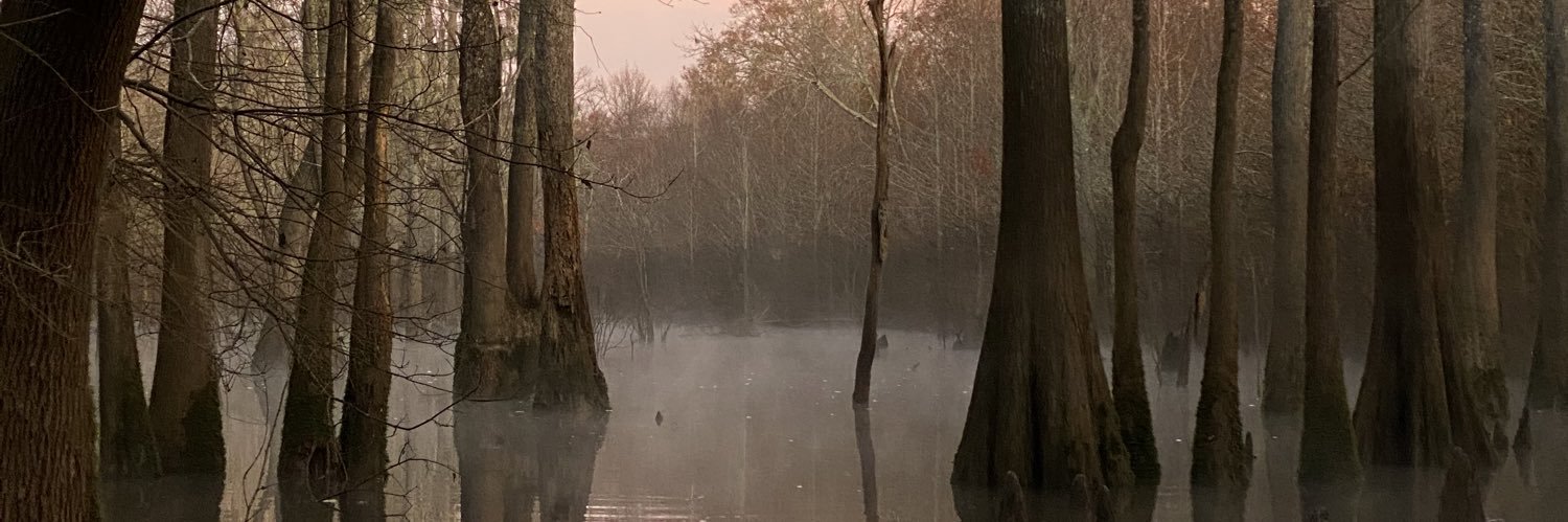 Anthony_Aun's profile banner image