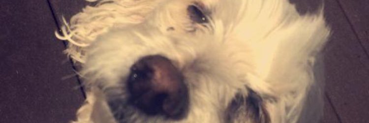 bringingsexyJAC's profile banner image