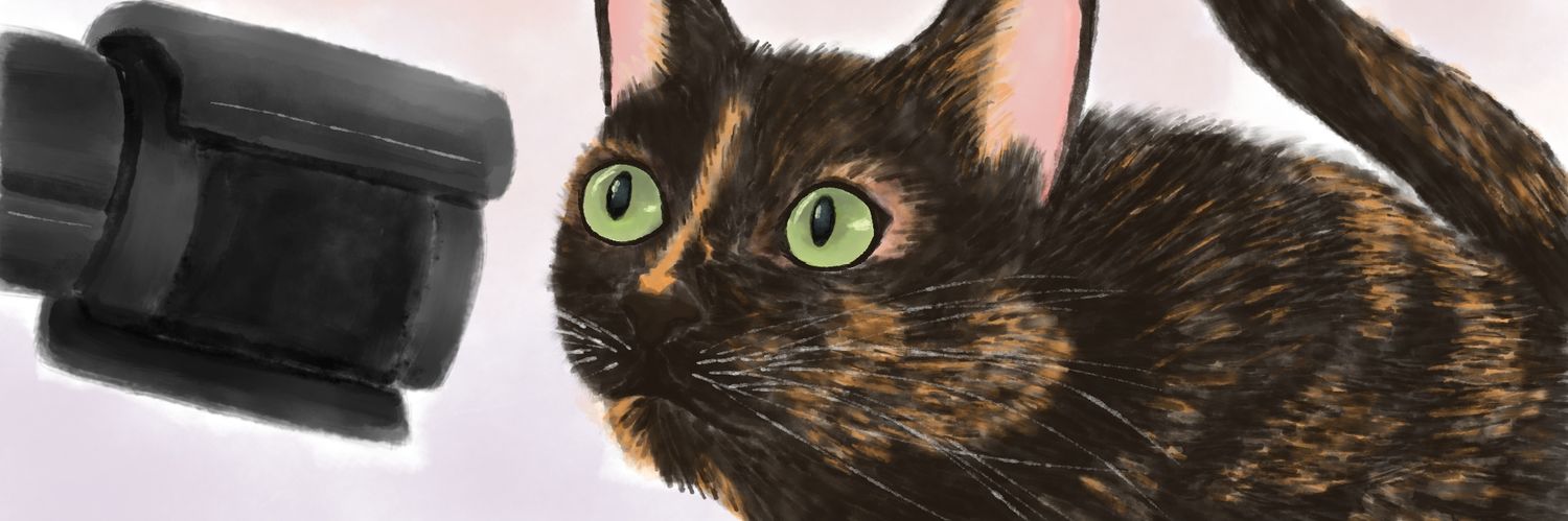roxxlyy's profile banner image