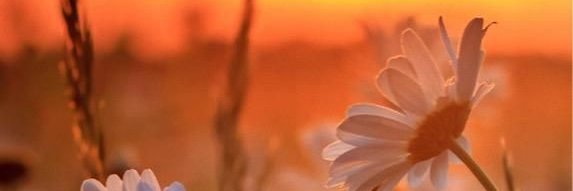 An_1005_'s profile banner image