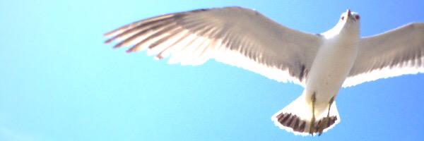 GLUE005's profile banner image