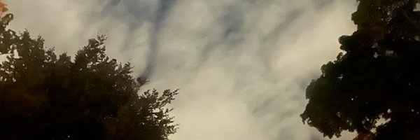 GillyWhite8 Profile Banner