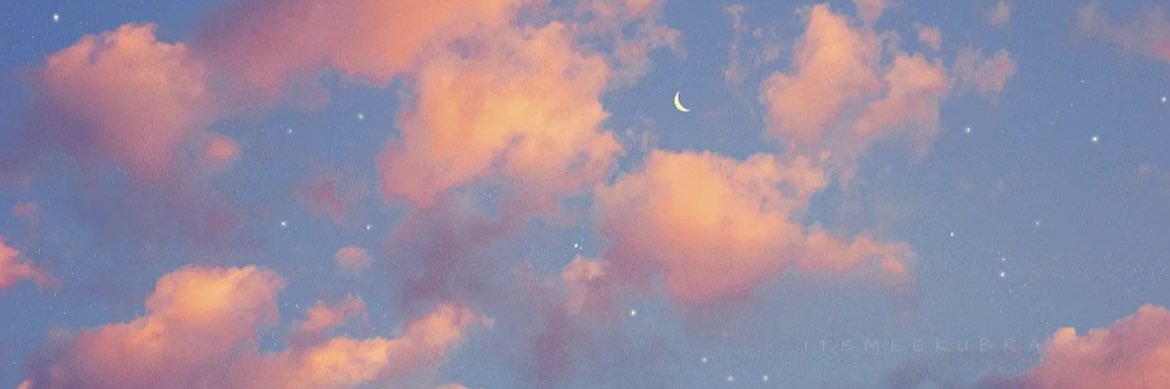 siierralou's profile banner image