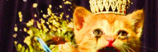 Briony Downes banner