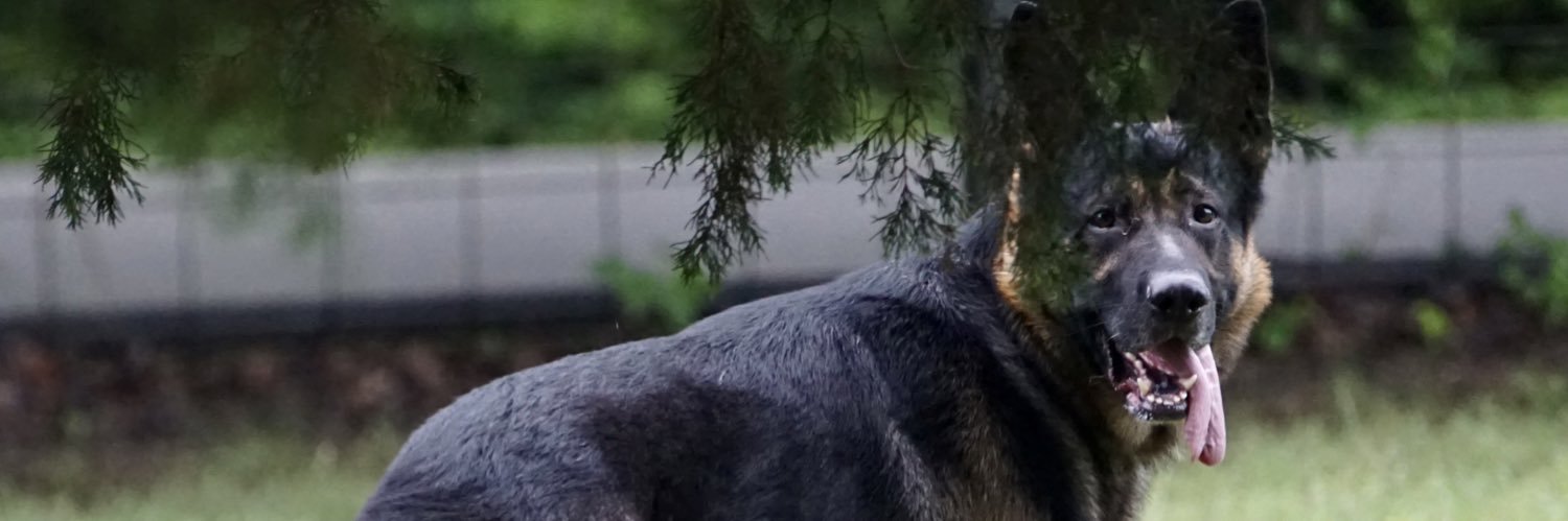 DChism14's profile banner image