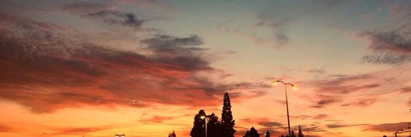 writtenbywd Profile Banner