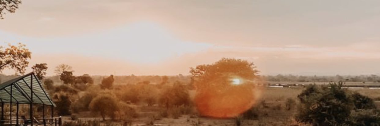 Felix Leonhardt banner