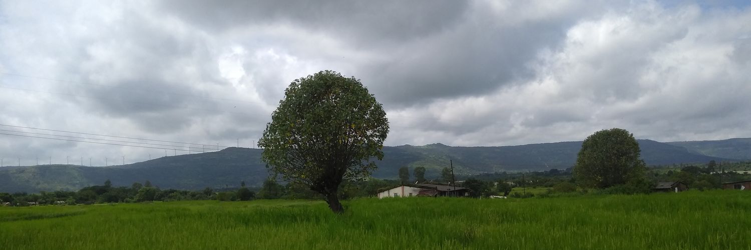 brioDhanu's profile banner image