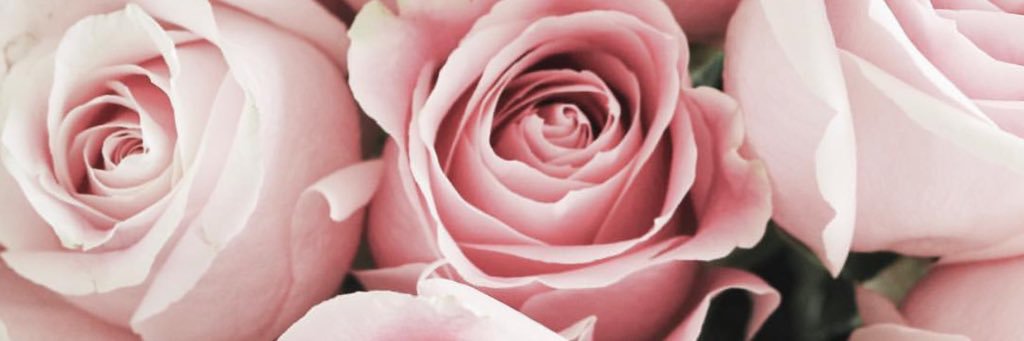 morg_dwyer's profile banner image