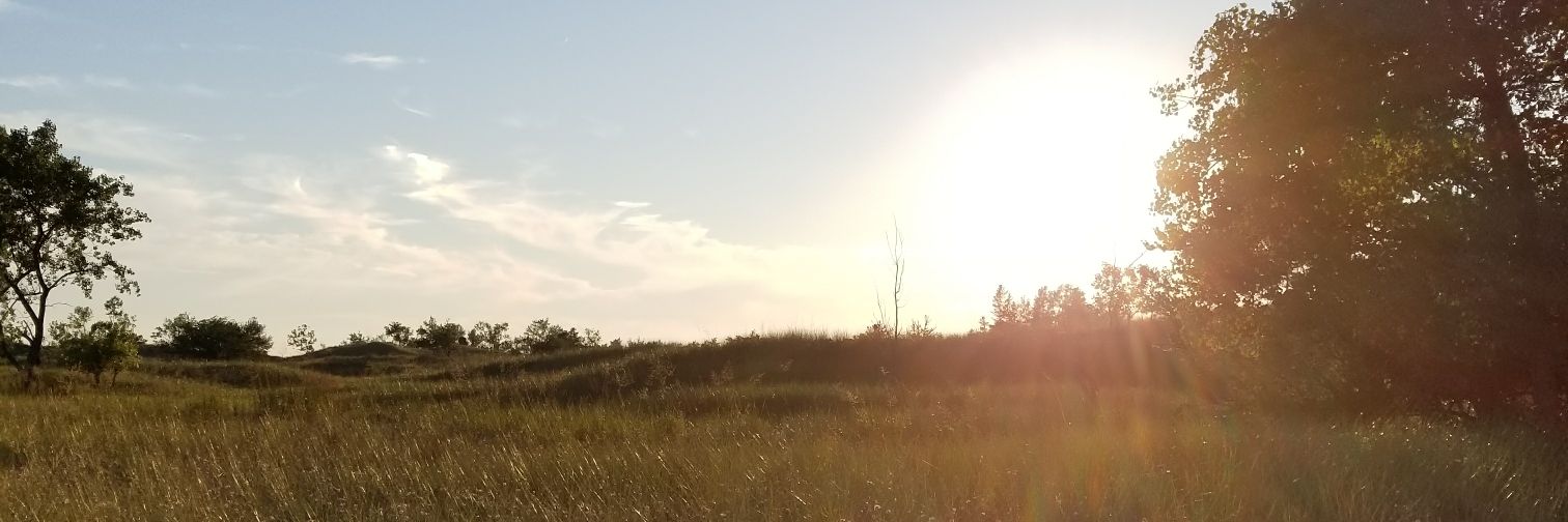 PrincessLeaky's profile banner image
