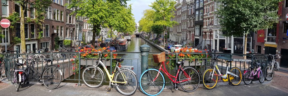 William Ribeiro banner