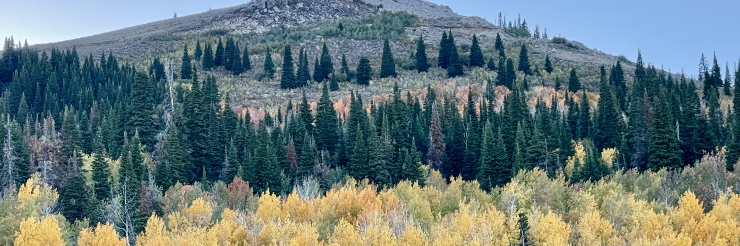 western801's profile banner image