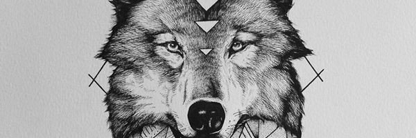 ROOARRAWR's profile banner image