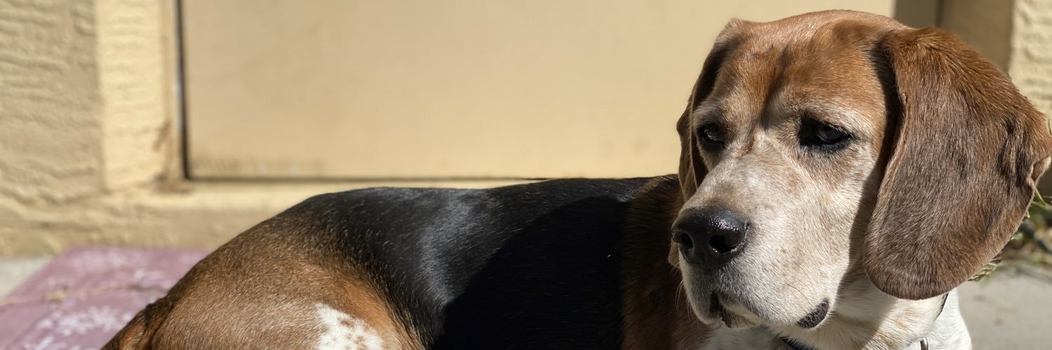 SALBABE11's profile banner image