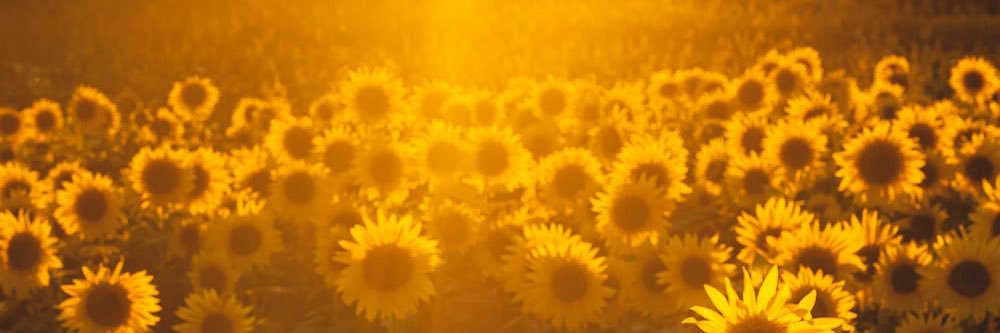 _breejen's profile banner image