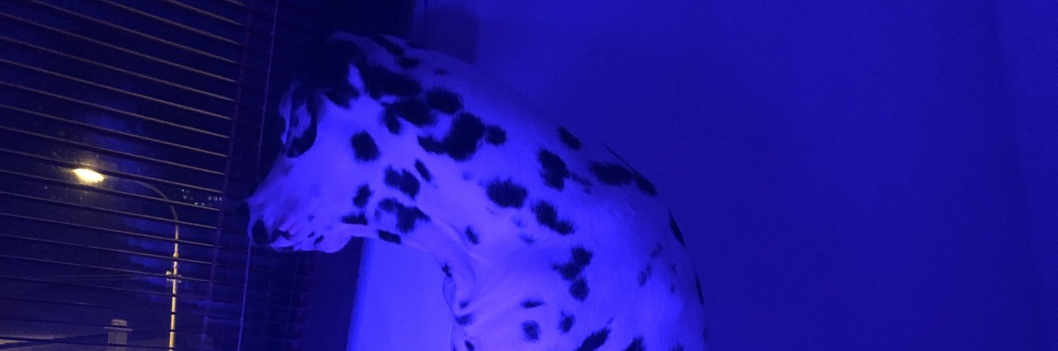 katematu's profile banner image