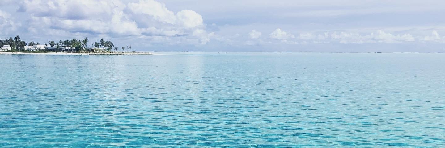 Alberto zamora banner