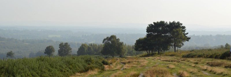 natalie_banton's profile banner image