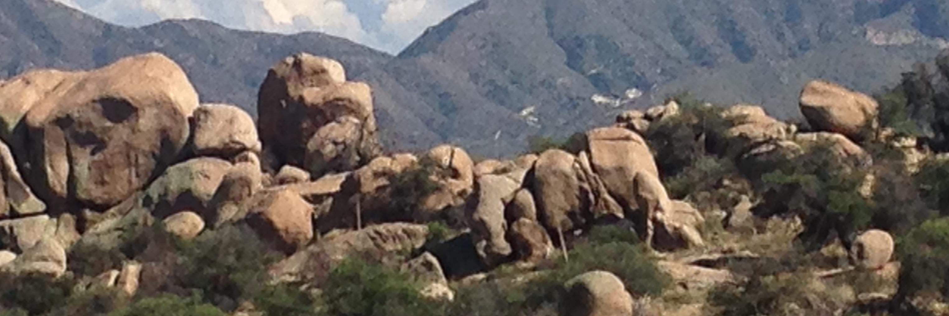 EmptyNester FC 🇺🇦 banner