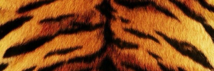finiarshad's profile banner image
