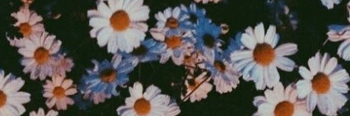 nrnblah_'s profile banner image