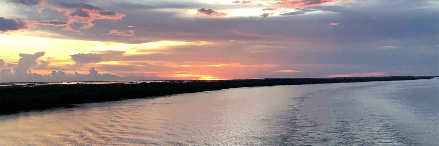thebrittwatson's profile banner image