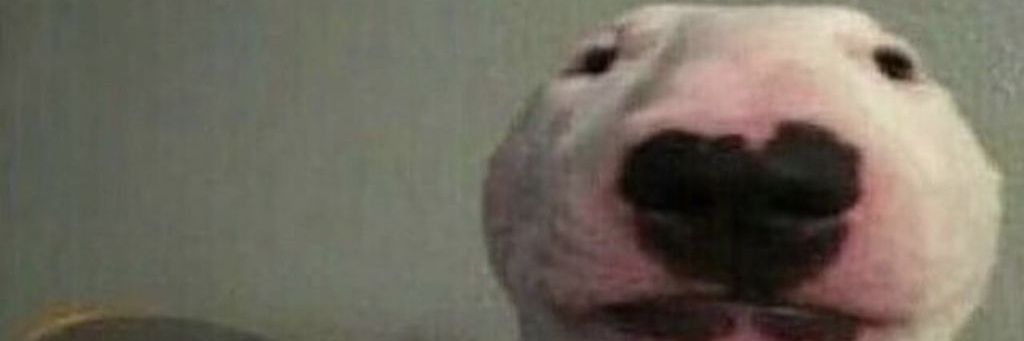BroliusCaesar's profile banner image