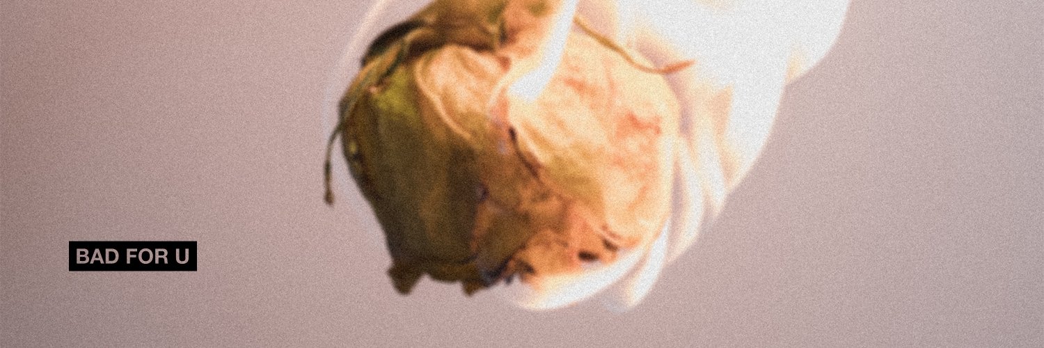 Kelli Schaefer banner