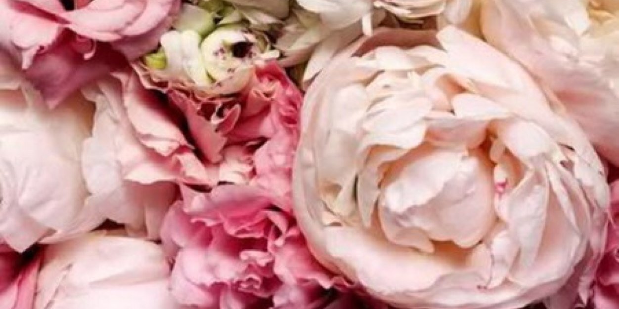 GeorgiMatthews's profile banner image