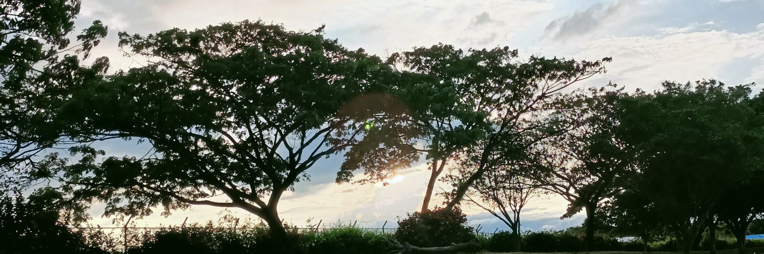 Jean_______'s profile banner image