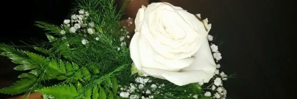 lmaral84's profile banner image