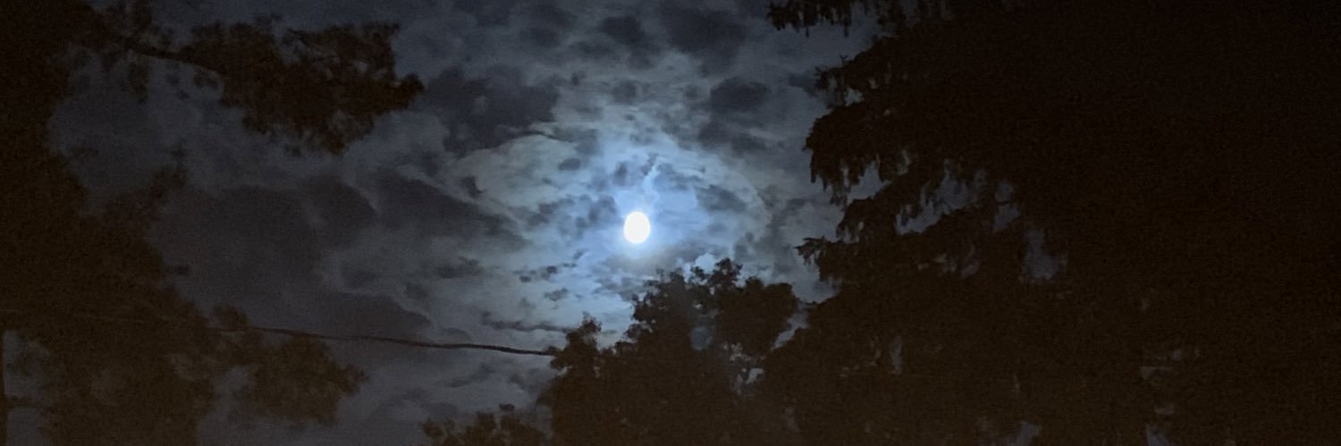 KevinCapretto's profile banner image