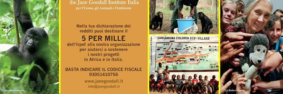 Jane Goodall Institute Italia banner