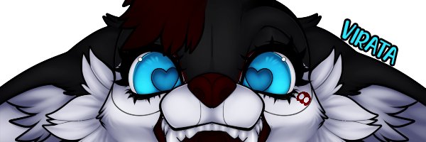 TabithaDux's profile banner image