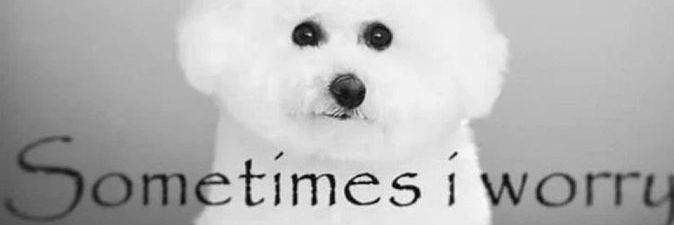 TheLastJimzy™️ banner