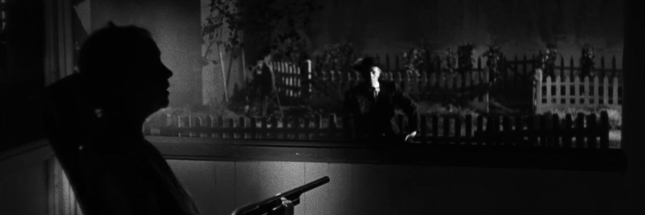 EverydayAFrame's profile banner image