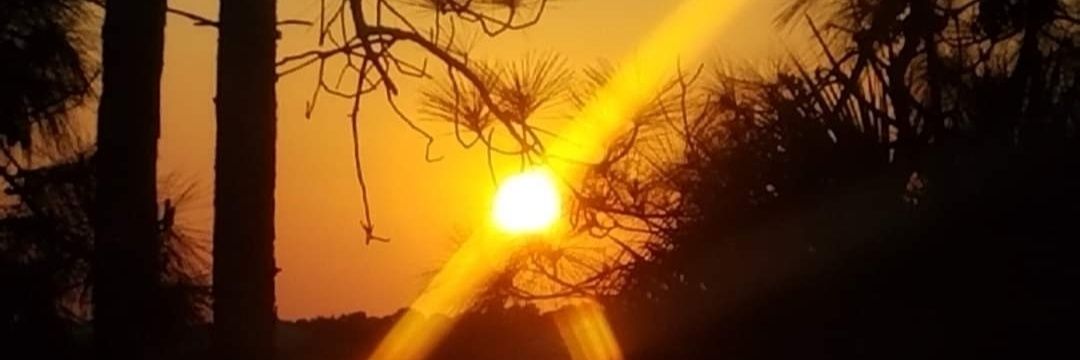 AngieS🌏☮️👵🧘‍♀️🐾🎶 banner