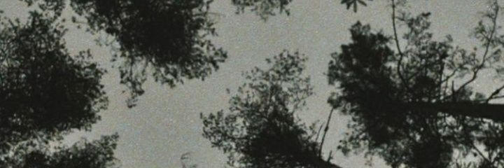 Lizzy_FoxY's profile banner image