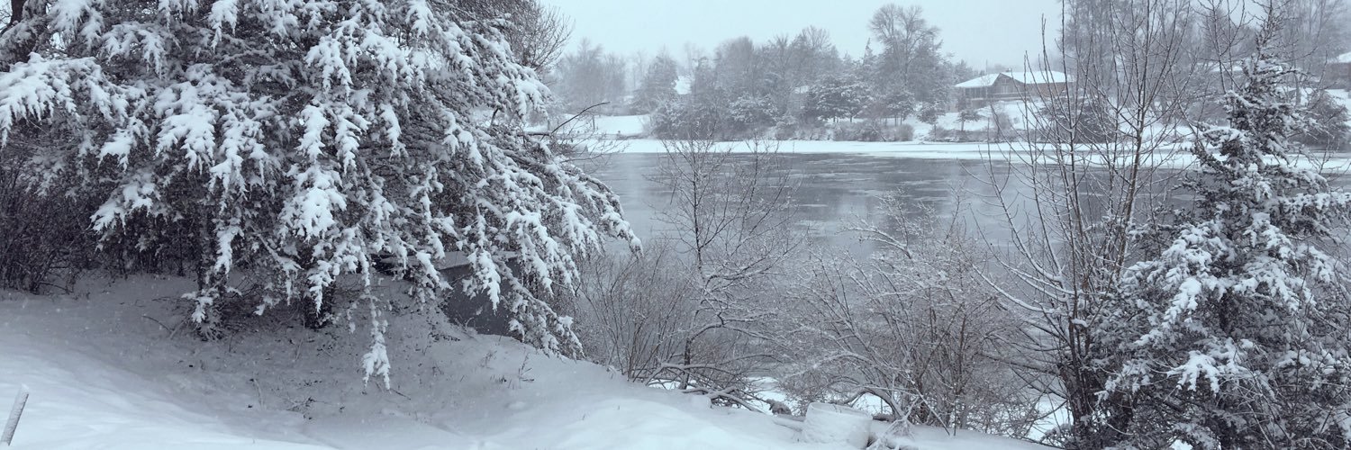 mishamlarin's profile banner image