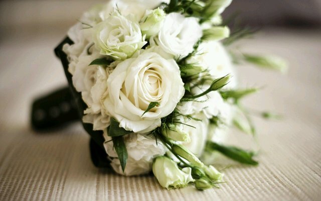 Novasyana's profile banner image