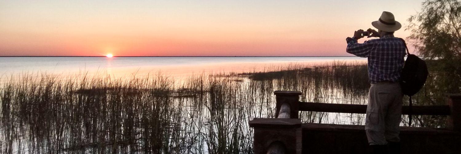 vanelop's profile banner image