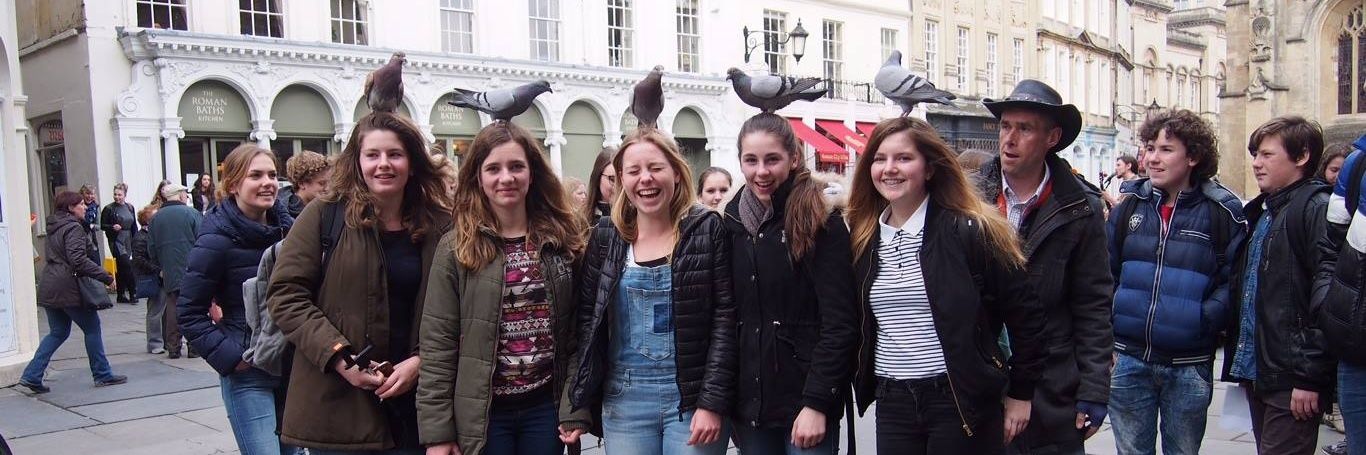 VeenLanden College banner