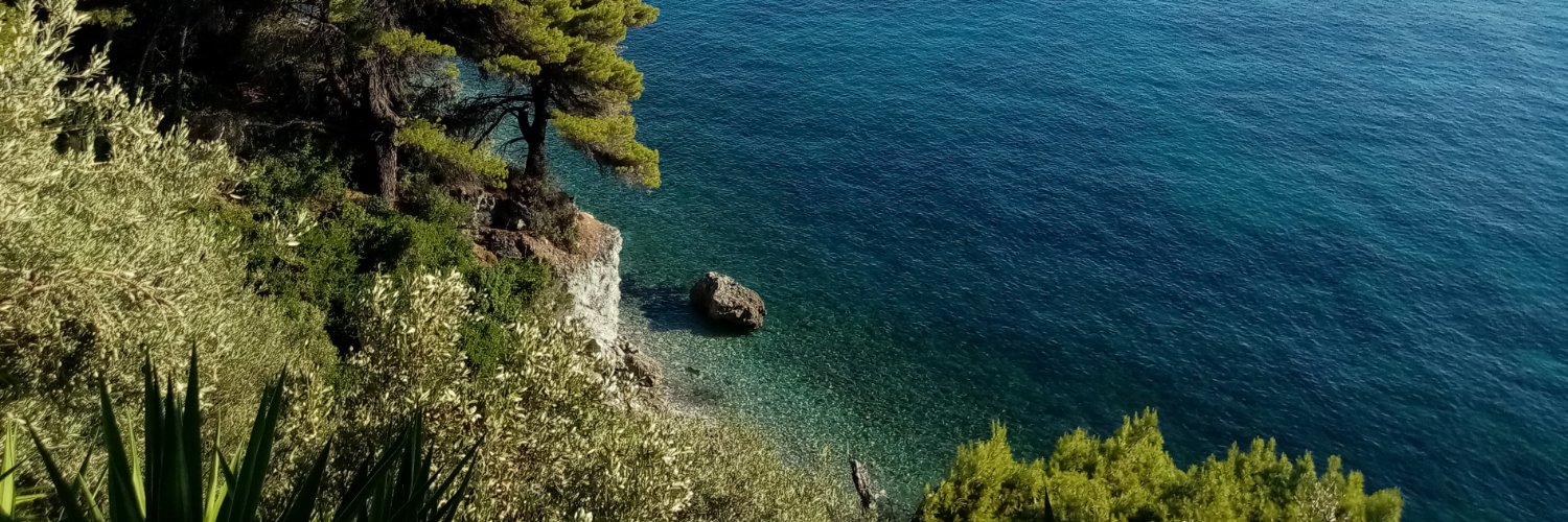 gonzaguebc's profile banner image