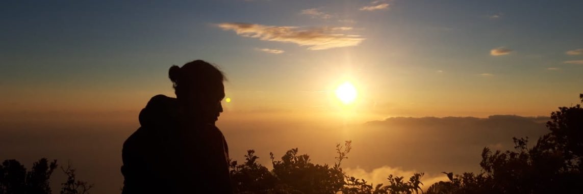 FayEatPie's profile banner image