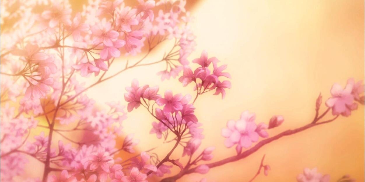 monicamera🌱🍫🦦 banner