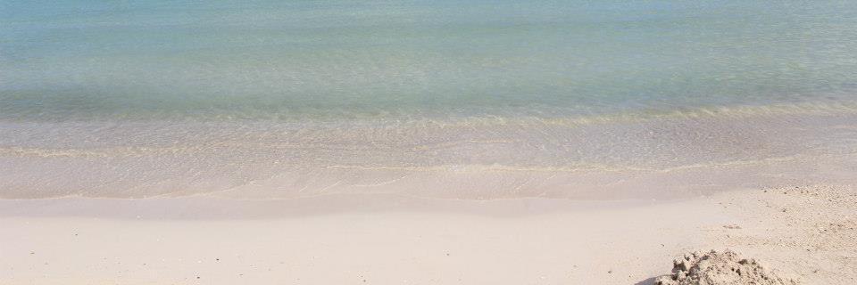 chapman_ryan's profile banner image